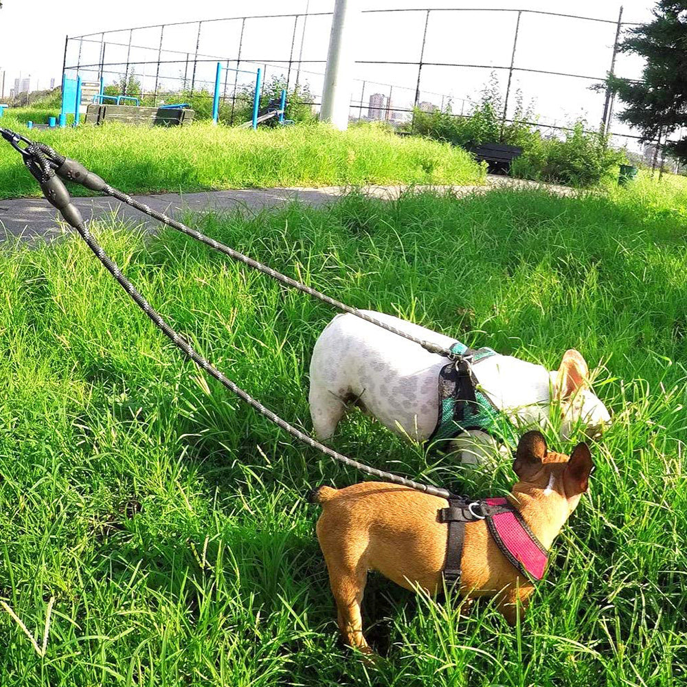 Tangle-Free Walks for Two πβπ¦Ίπβπ¦Ί Duo Dog Duo Leash