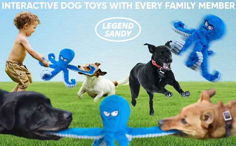 Entertaining Enrichment Octopus💙🐙