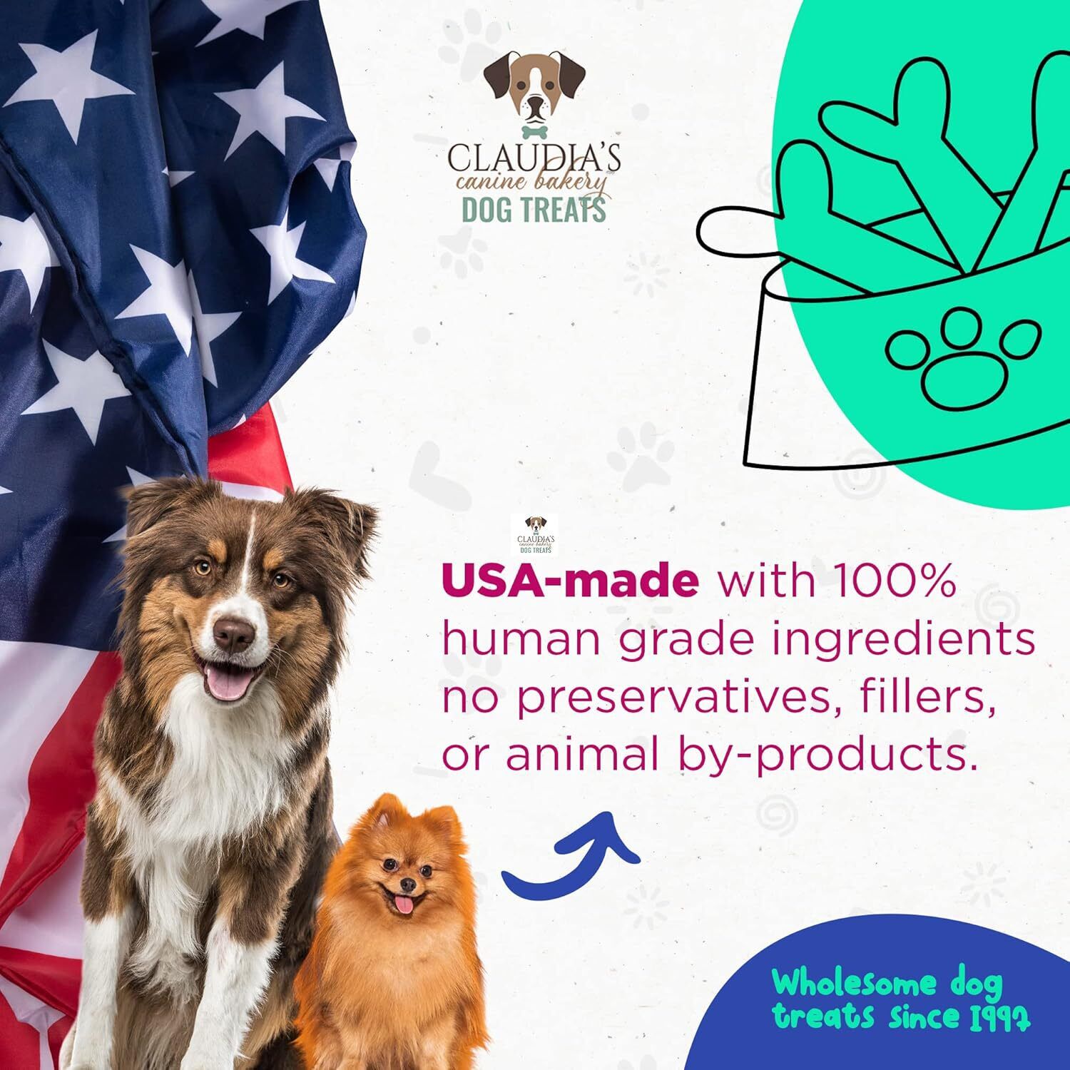 🥐🫓Blue Buddies Dog Treat Assortment