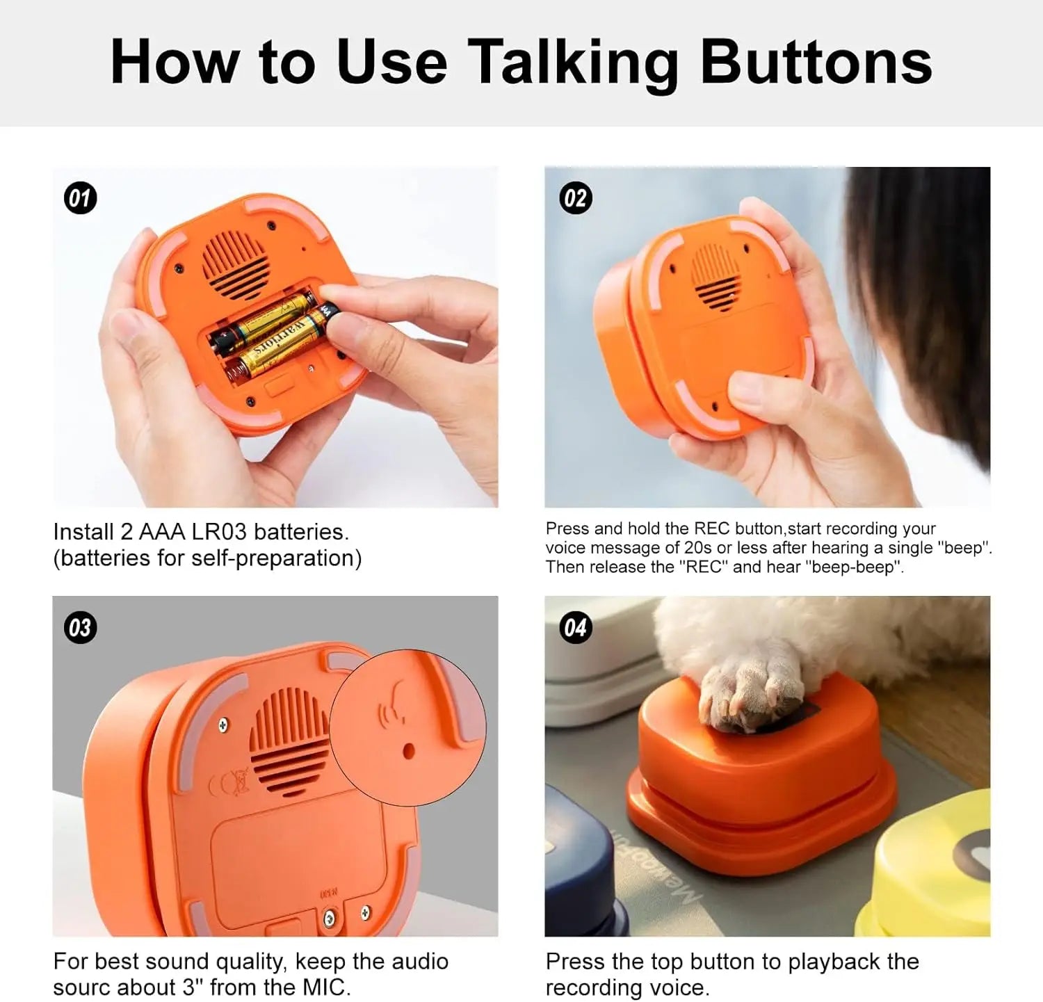 🗣️🐶 Talk with Your Dog – Literally! 🎙️🐾
