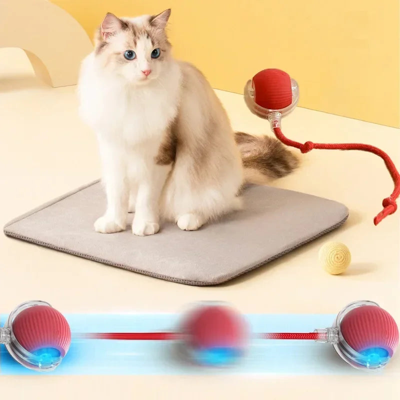 Interactive Cat Ball πββ¬β½