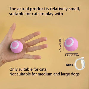 Interactive Cat Ball πββ¬β½