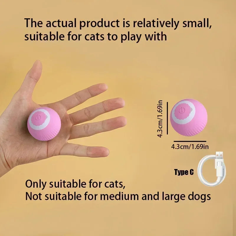 Interactive Cat Ball πββ¬β½