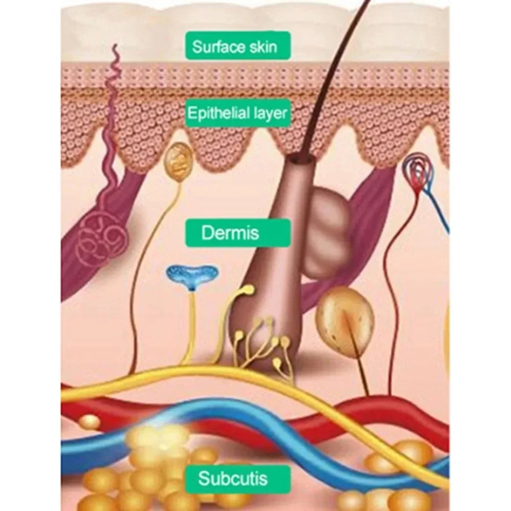 Red Light Therapy Full Body Pet Panel ๐ถ๐โโฌ๐ด
