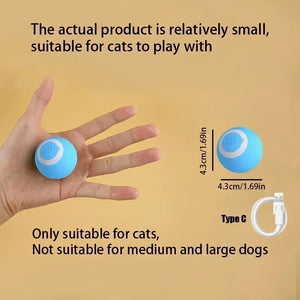 Interactive Cat Ball πββ¬β½