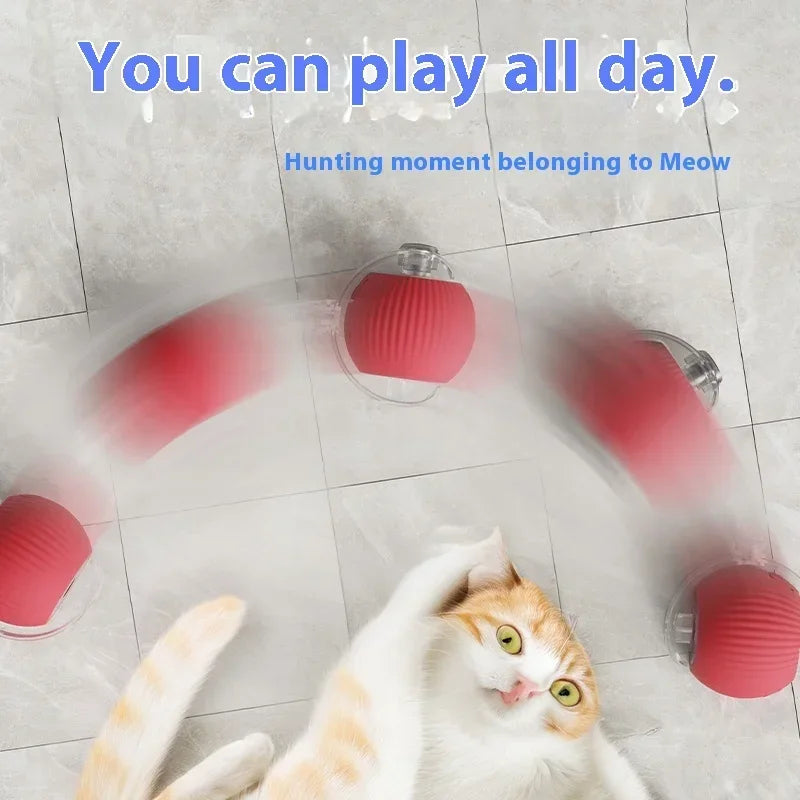 Interactive Cat Ball πββ¬β½