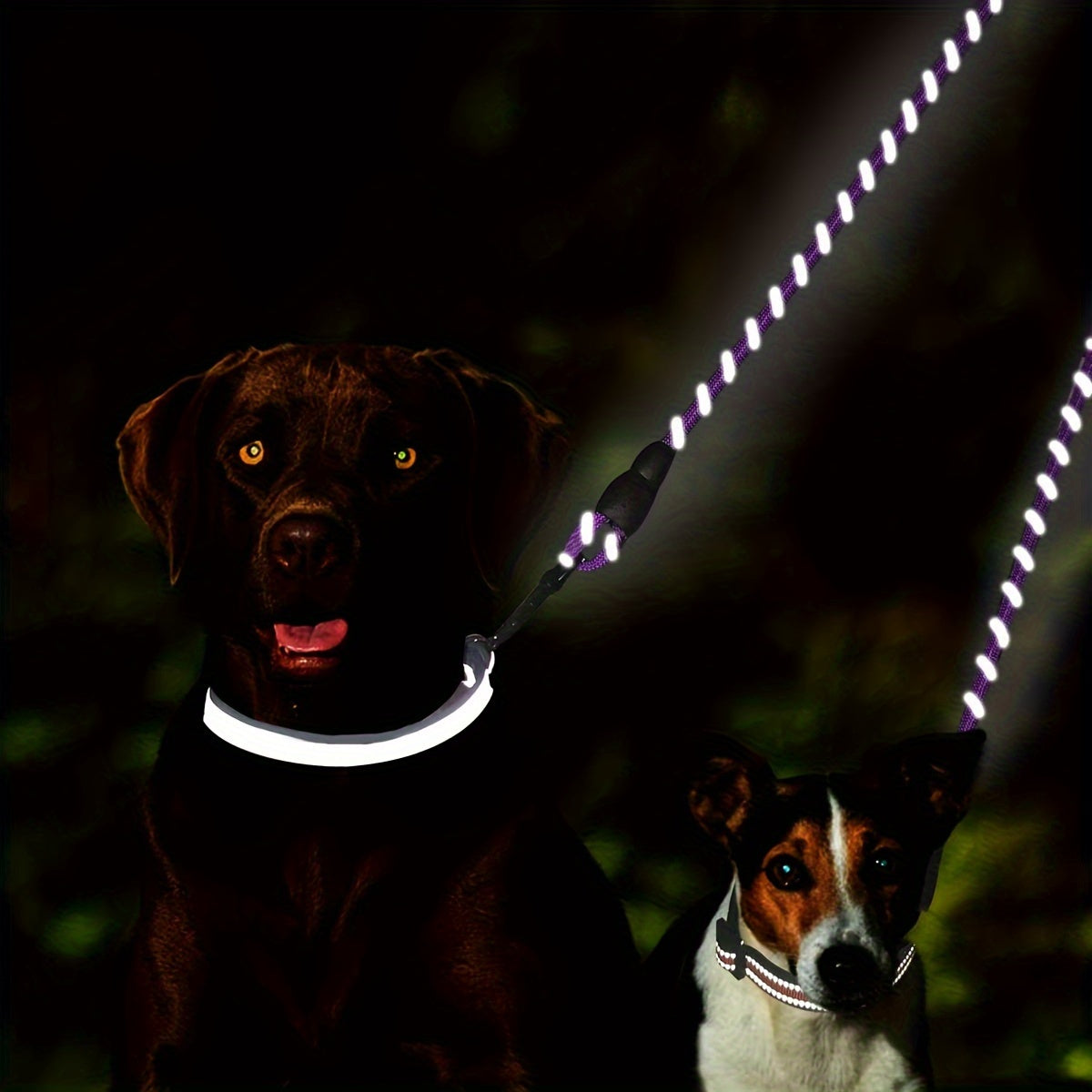 Tangle-Free Walks for Two πβπ¦Ίπβπ¦Ί Duo Dog Duo Leash