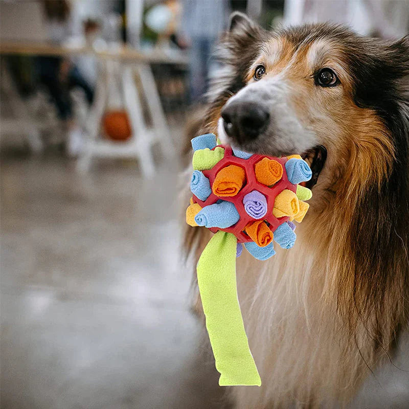 Smart Sniff  Treat Game 🐶