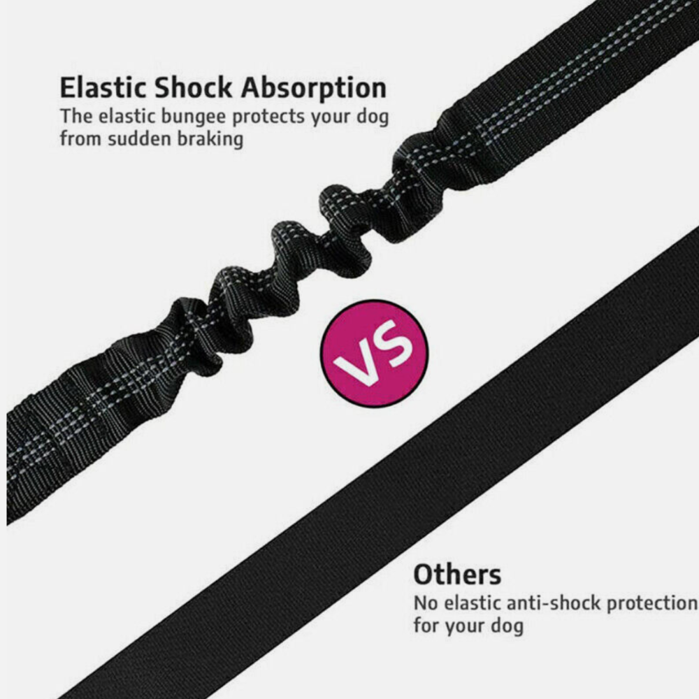 2-In-1 Car Seat Belt & Leash🚗