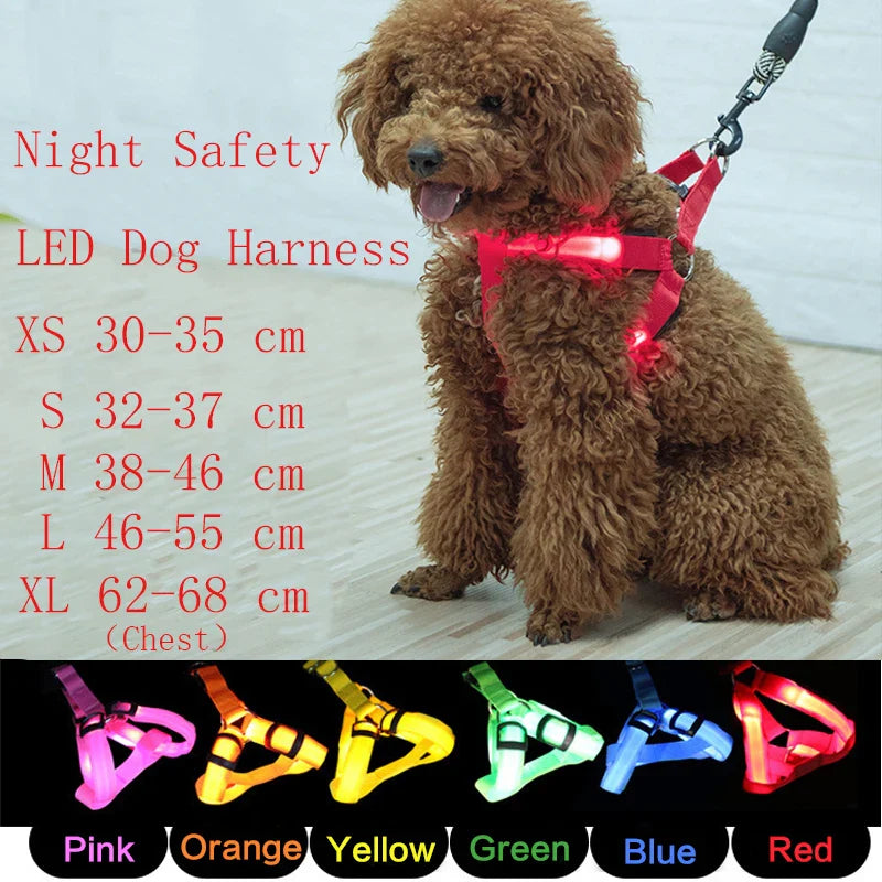 Luminous LED Dog Harness 🔦