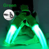 Luminous LED Dog Harness 🔦