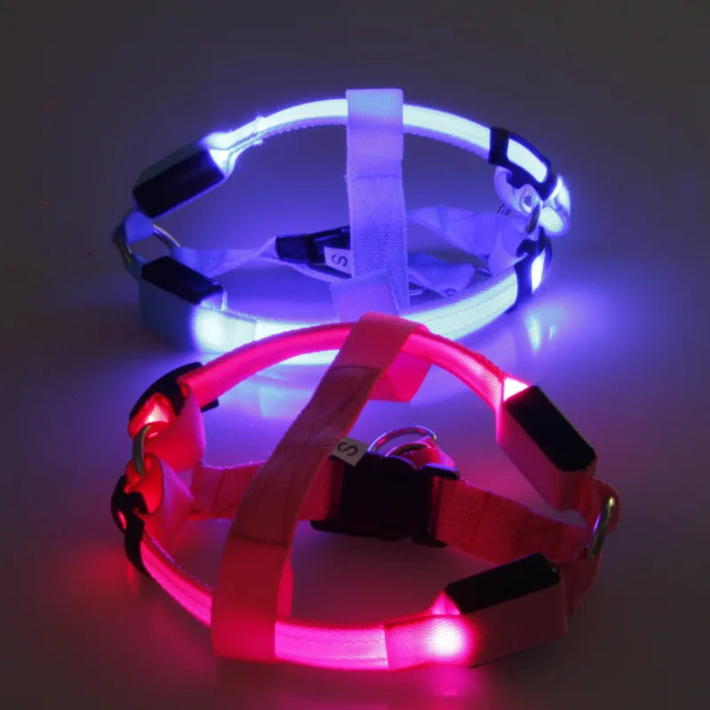 Luminous LED Dog Harness 🔦