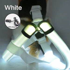 Luminous LED Dog Harness 🔦