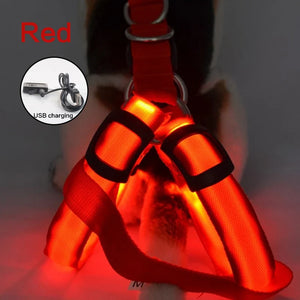 Luminous LED Dog Harness 🔦