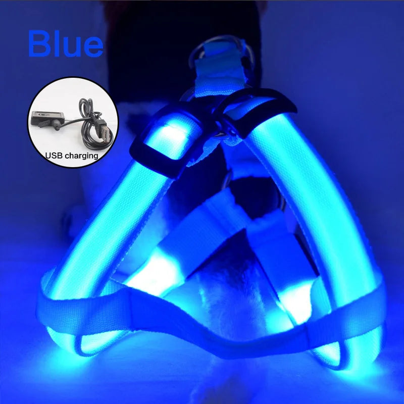 Luminous LED Dog Harness 🔦