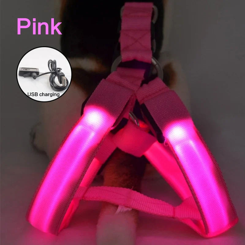 Luminous LED Dog Harness 🔦