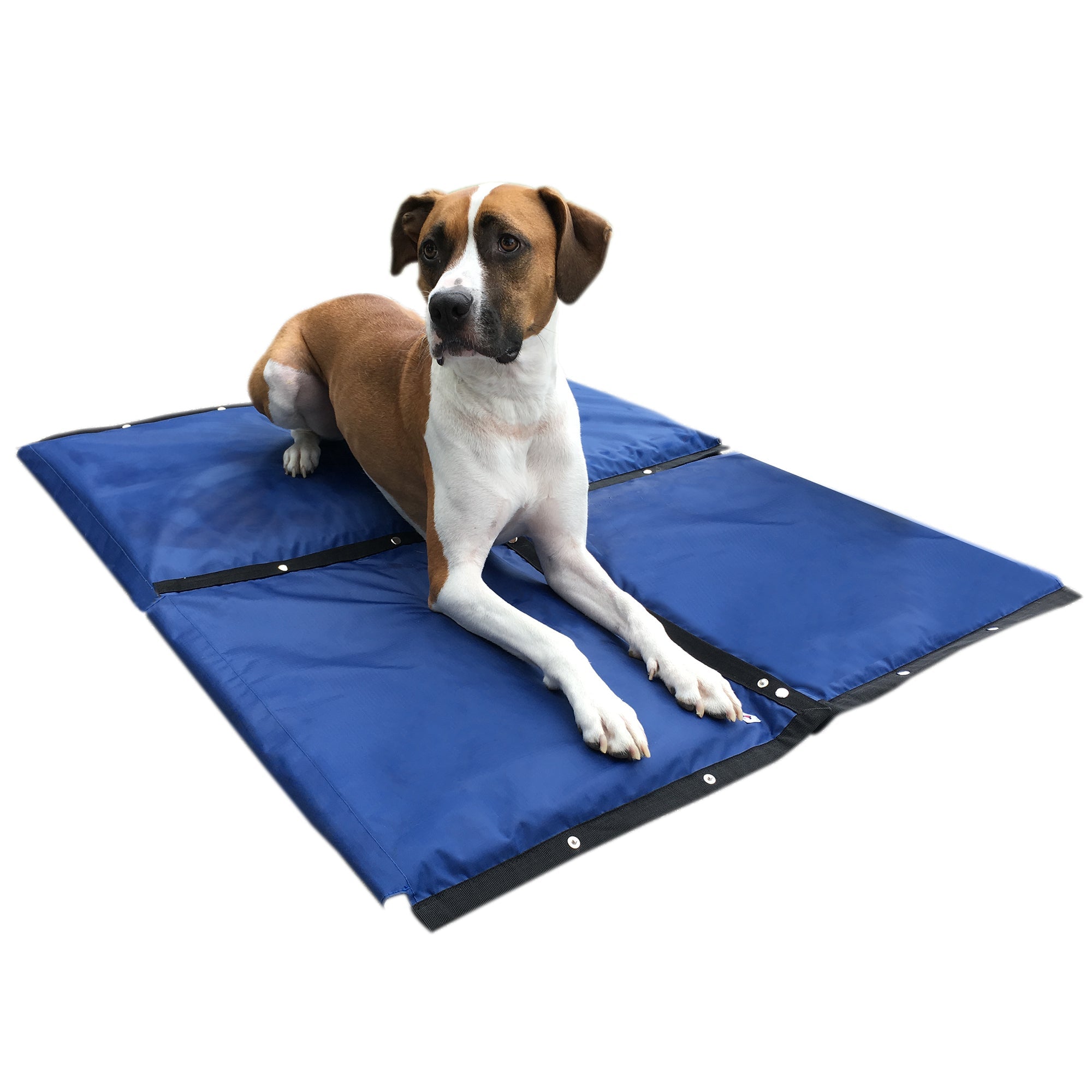 Ice Ice Baby Cooling Mat 🐶🧊