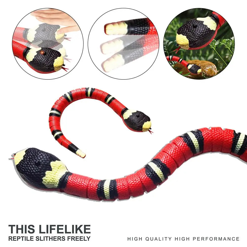 Smart Cat Snake 🐈‍⬛🐍