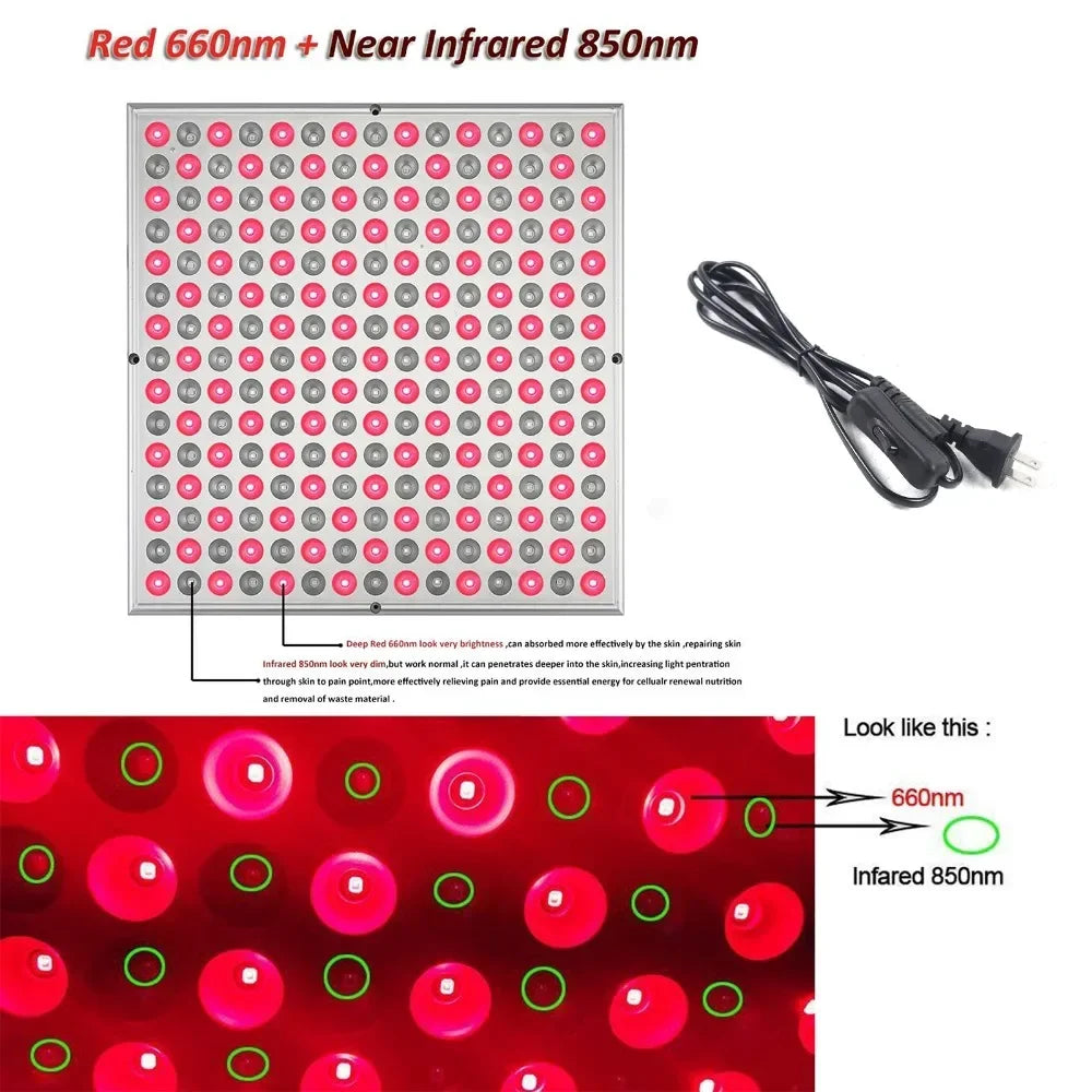 Red Light Therapy Full Body Pet Panel   🐶🐈‍⬛🔴