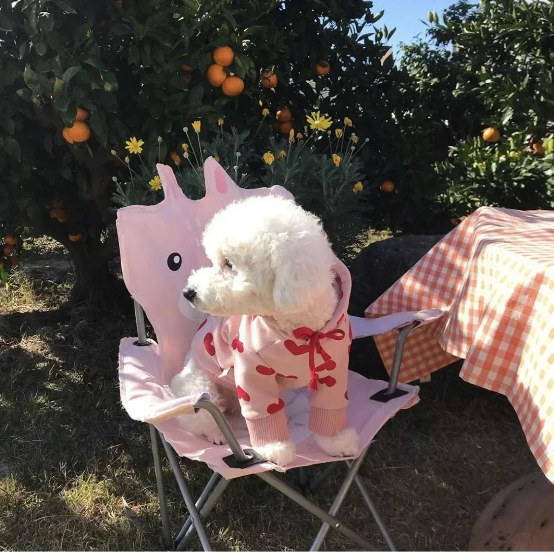 Pet Sweet Heart Hoodie💗